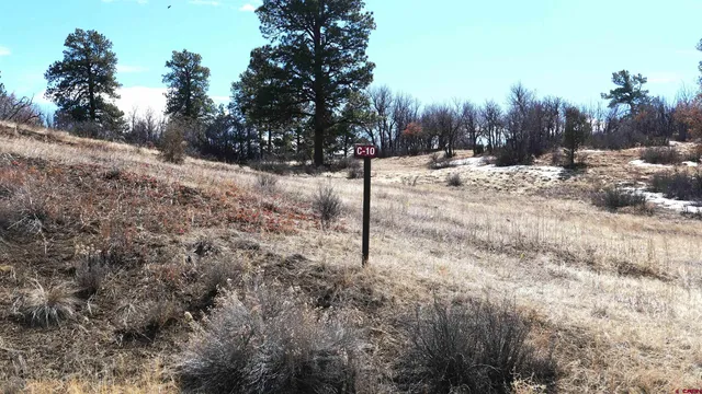 a view of a snow in a yard