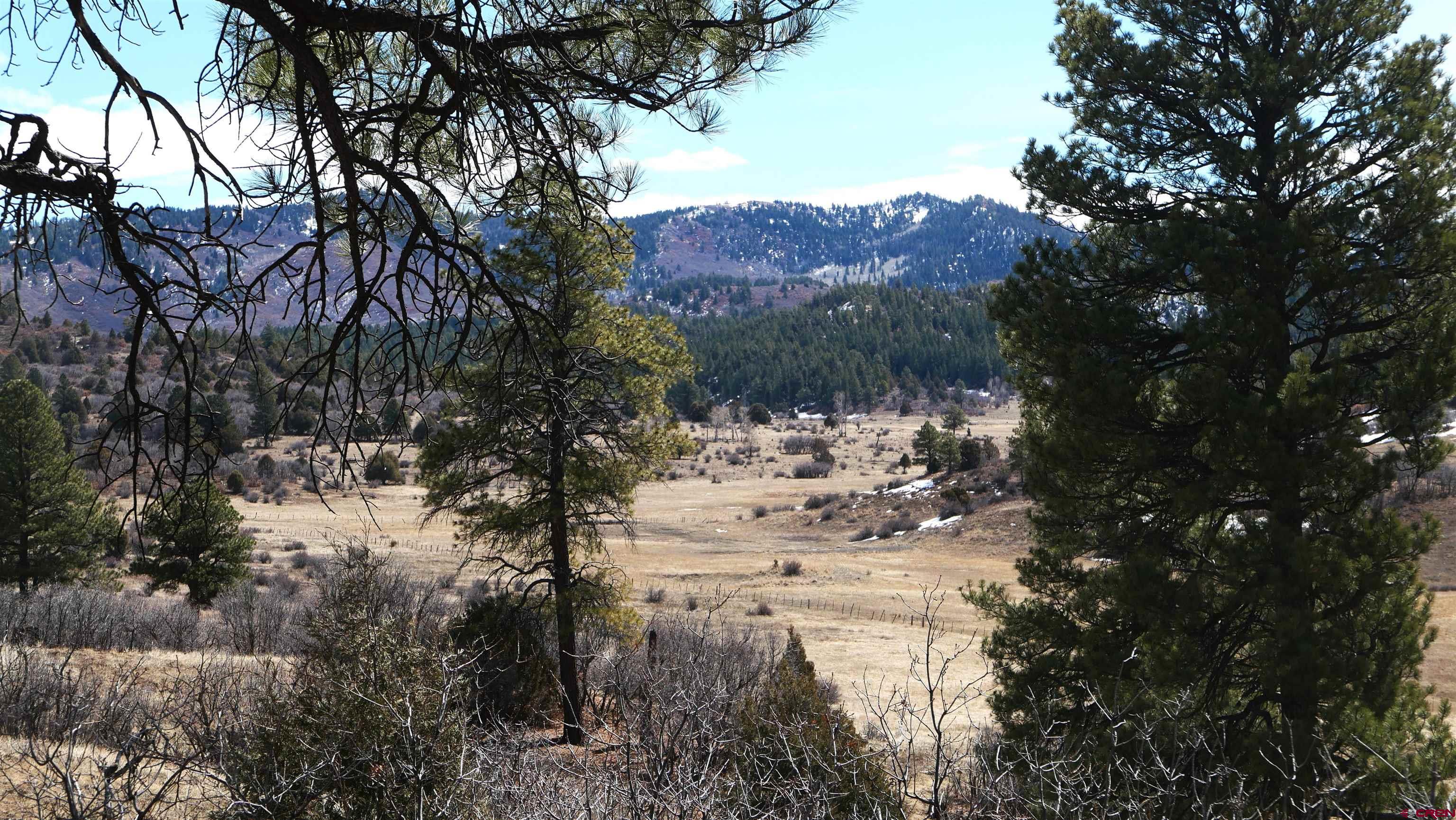 673 Spring Creek Circle Chromo, CO 81128 - Photo 2 of 13 a view of outdoor space with mountain view