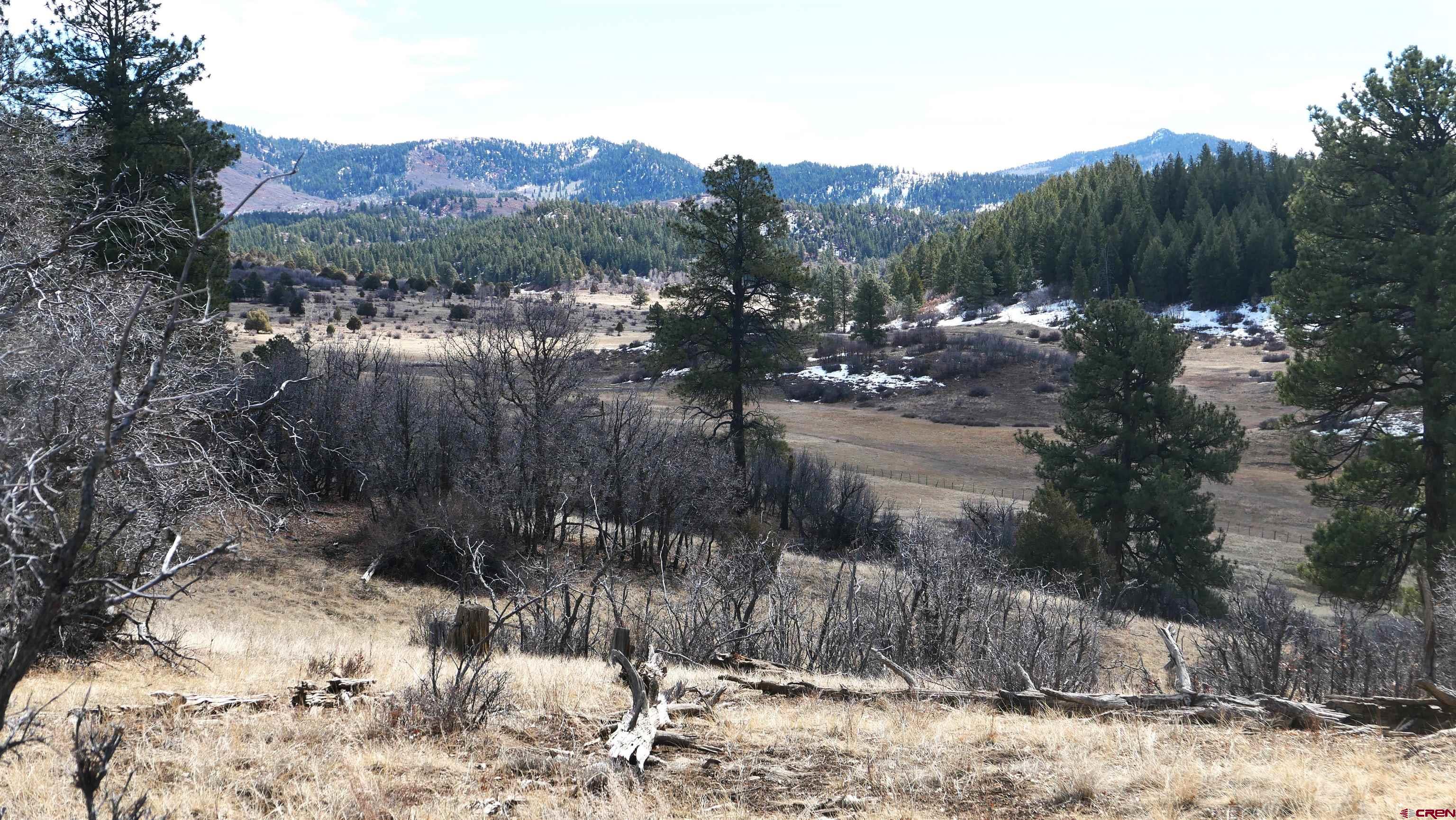 673 Spring Creek Circle Chromo, CO 81128 - Photo 3 of 13 a view of a town with mountains in the background
