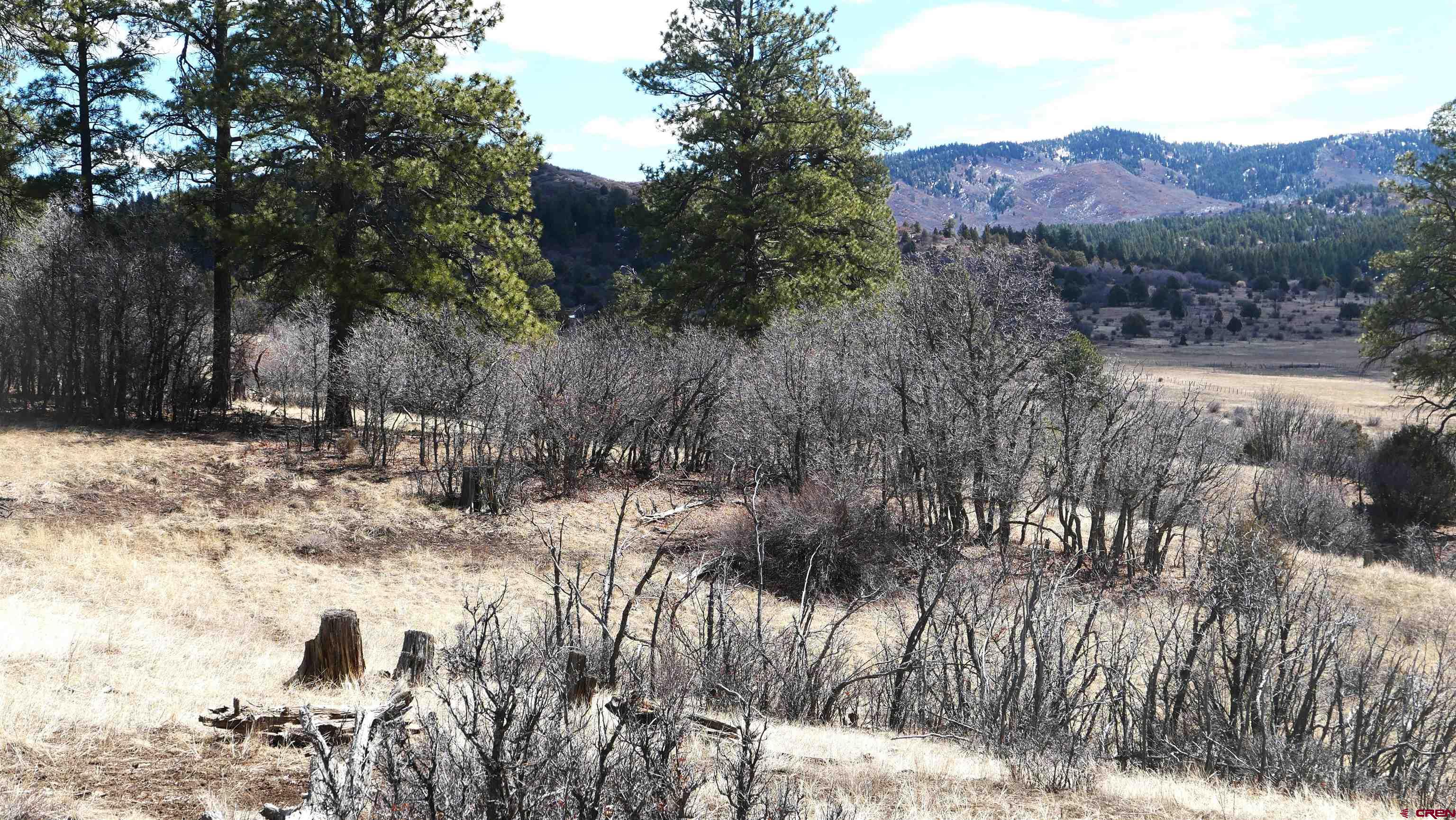 673 Spring Creek Circle Chromo, CO 81128 - Photo 4 of 13 a view of a dry back yard