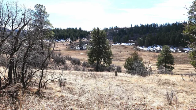 a view of outdoor space and covered with snow
