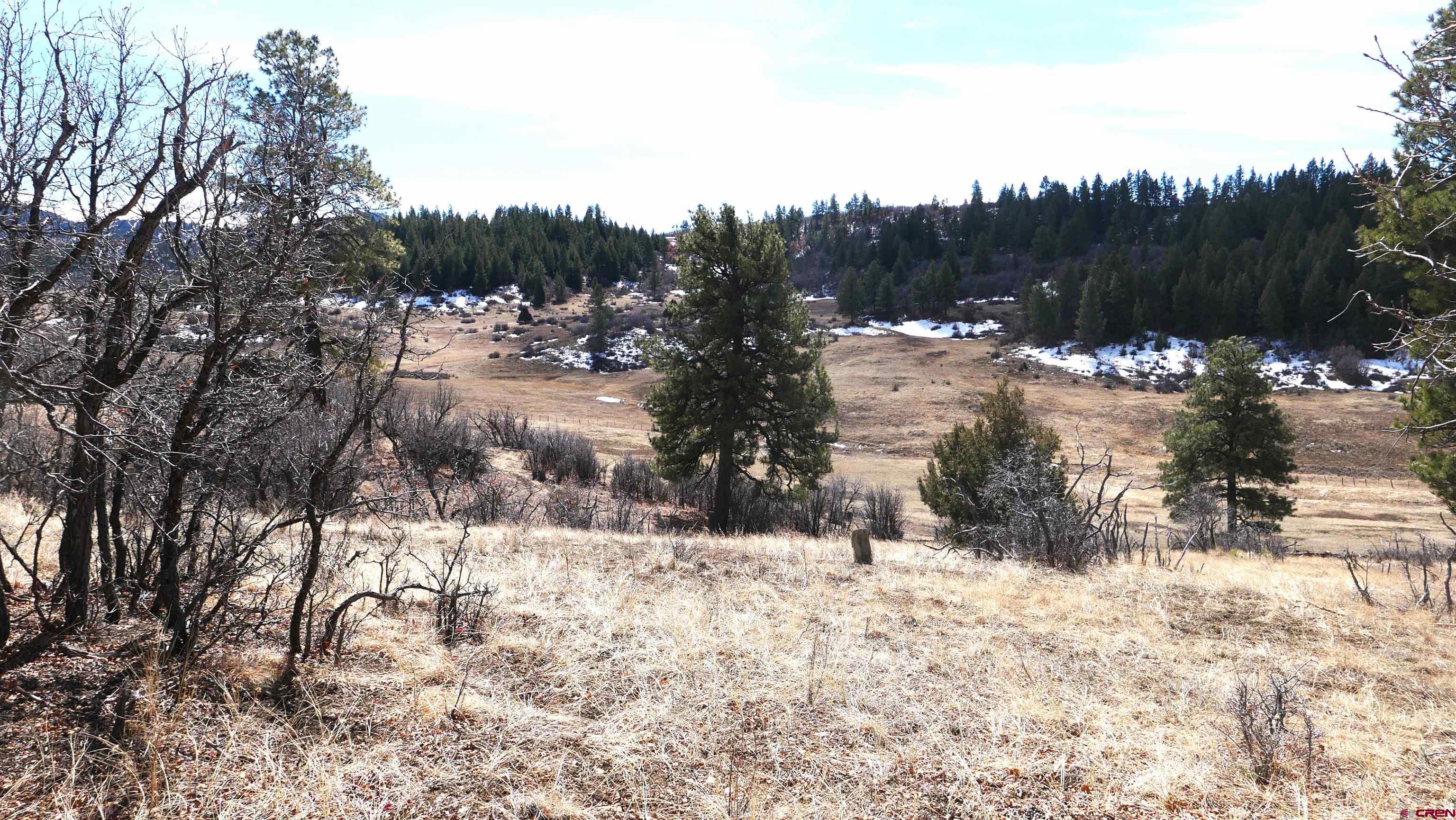 673 Spring Creek Circle Chromo, CO 81128 - Photo 6 of 13 a view of outdoor space and covered with snow