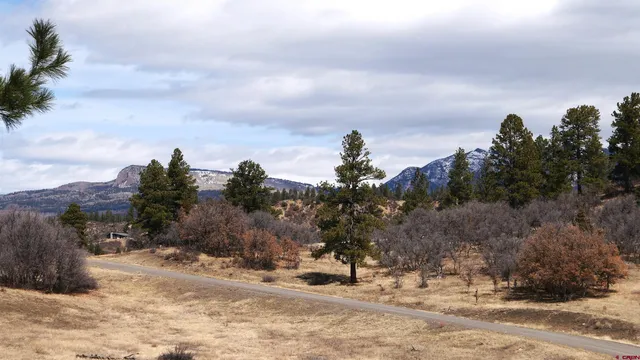 a view of a covered with snow in the background