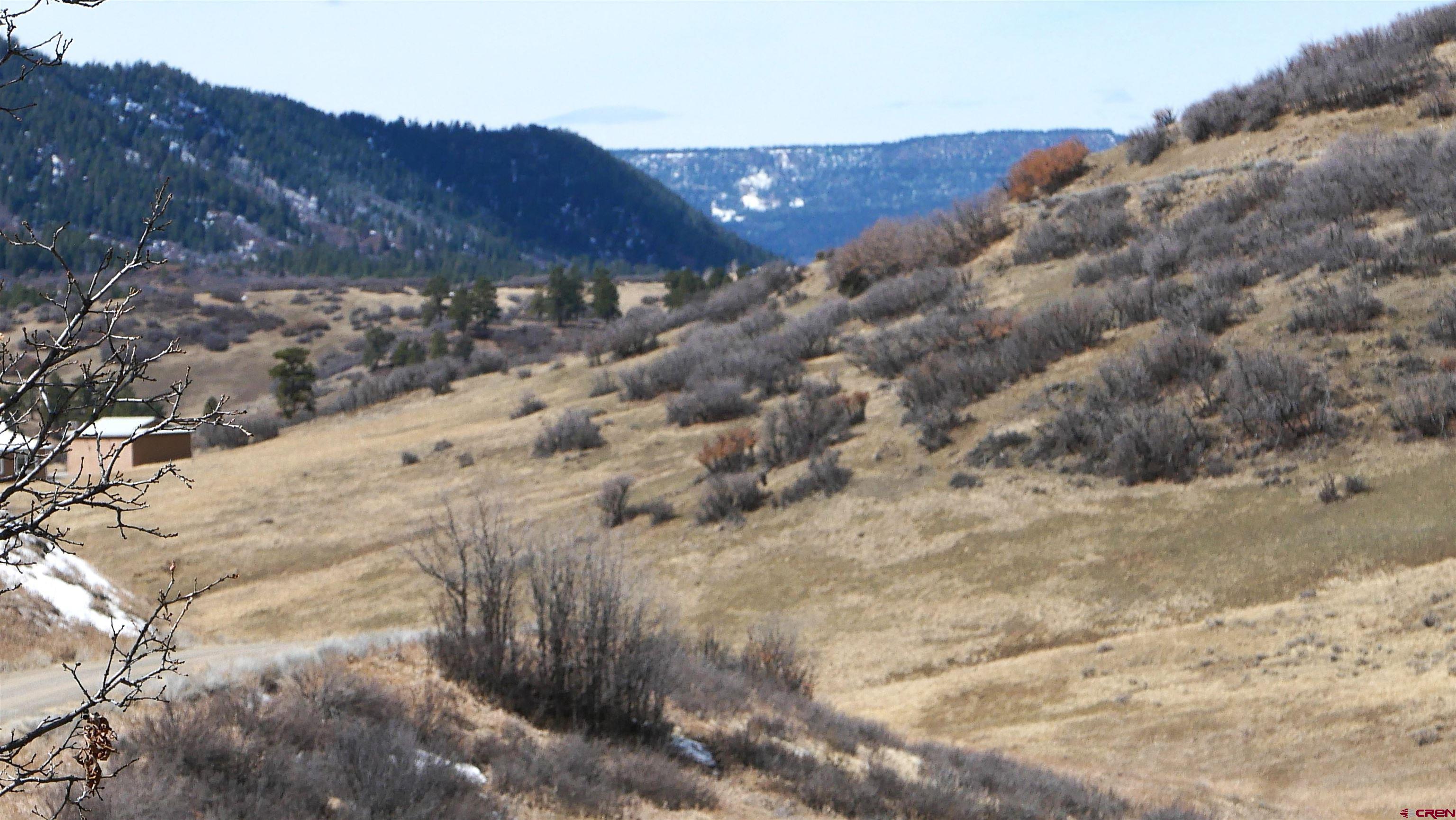 673 Spring Creek Circle Chromo, CO 81128 - Photo 10 of 13 a view of a dry yard