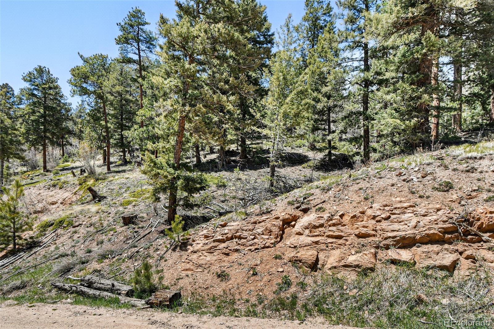11618 Nichols Way Conifer, CO 80433 - Photo 11 of 39 a view of a yard with a tree