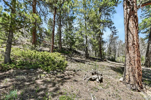 a big yard with lots of bushes