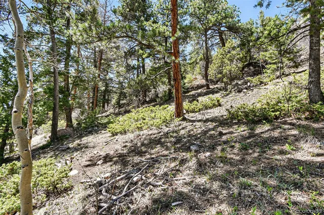 a view of outdoor space with deck and trees