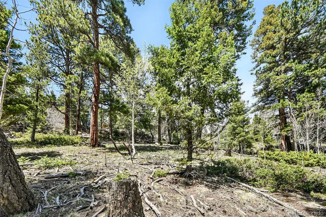 a view of outdoor space with lots of trees