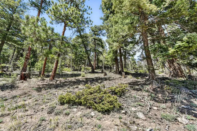 a view of a yard with a tree