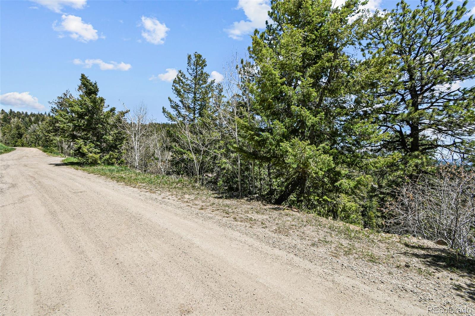 11618 Nichols Way Conifer, CO 80433 - Photo 25 of 39 a view of a road with a trees in the background