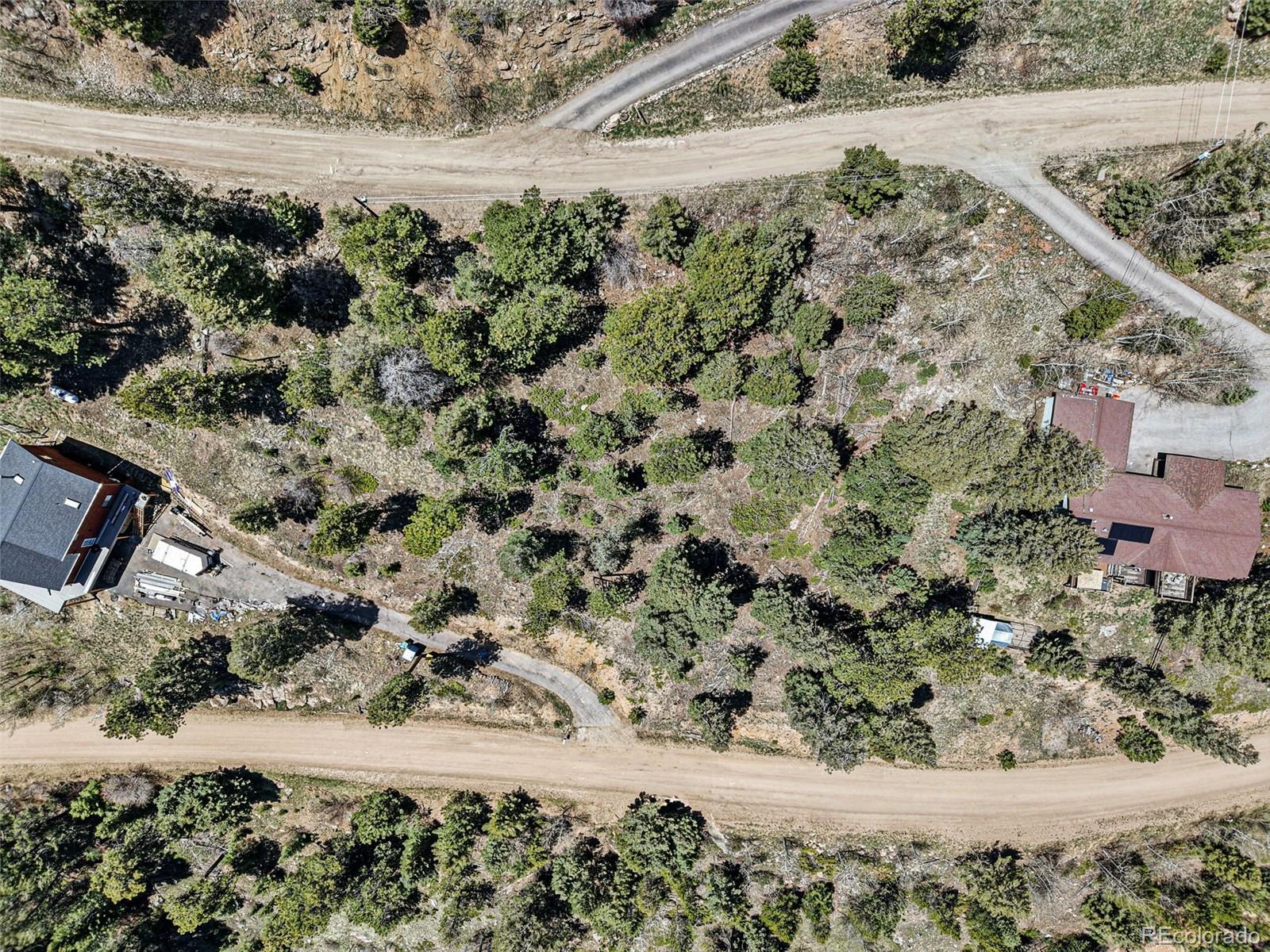 11618 Nichols Way Conifer, CO 80433 - Photo 34 of 39 a view of a yard with a tree
