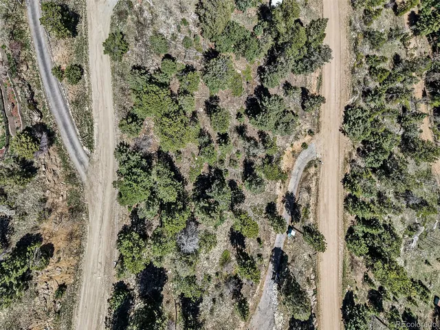 a backyard of a house with lots of trees