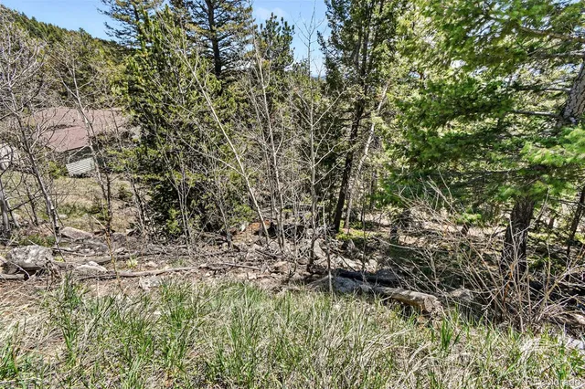 a view of a yard with mountain view