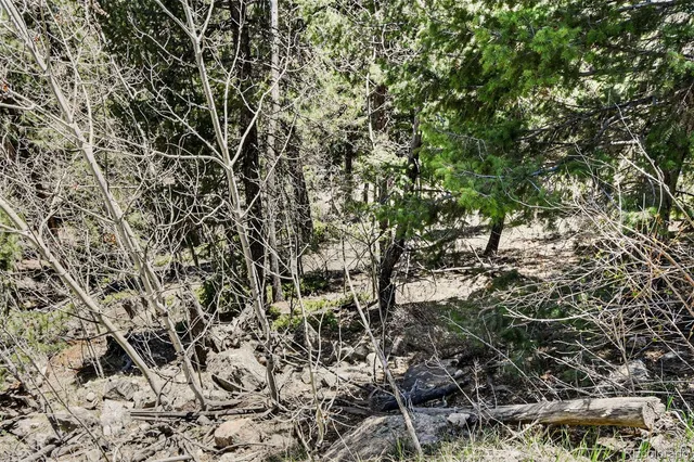 a view of a yard with a tree