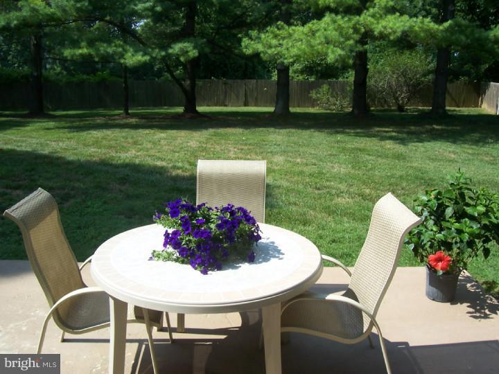 239 Lafayette Lane Wayne, PA 19087 - Photo 15 of 15 Patio