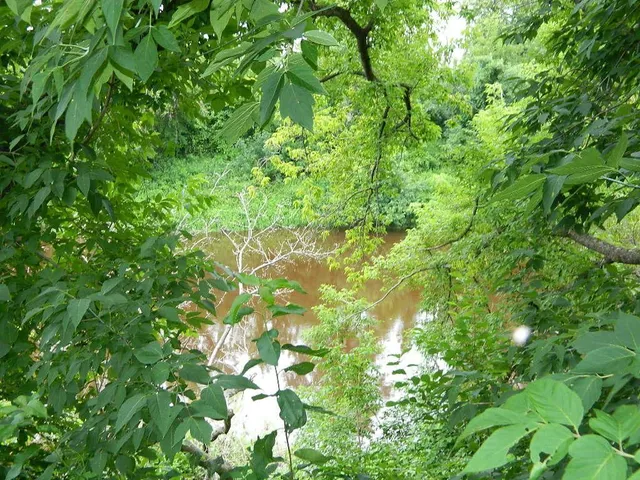 $193,900 | 817 McPherson Street, Littlefork, MN 56653