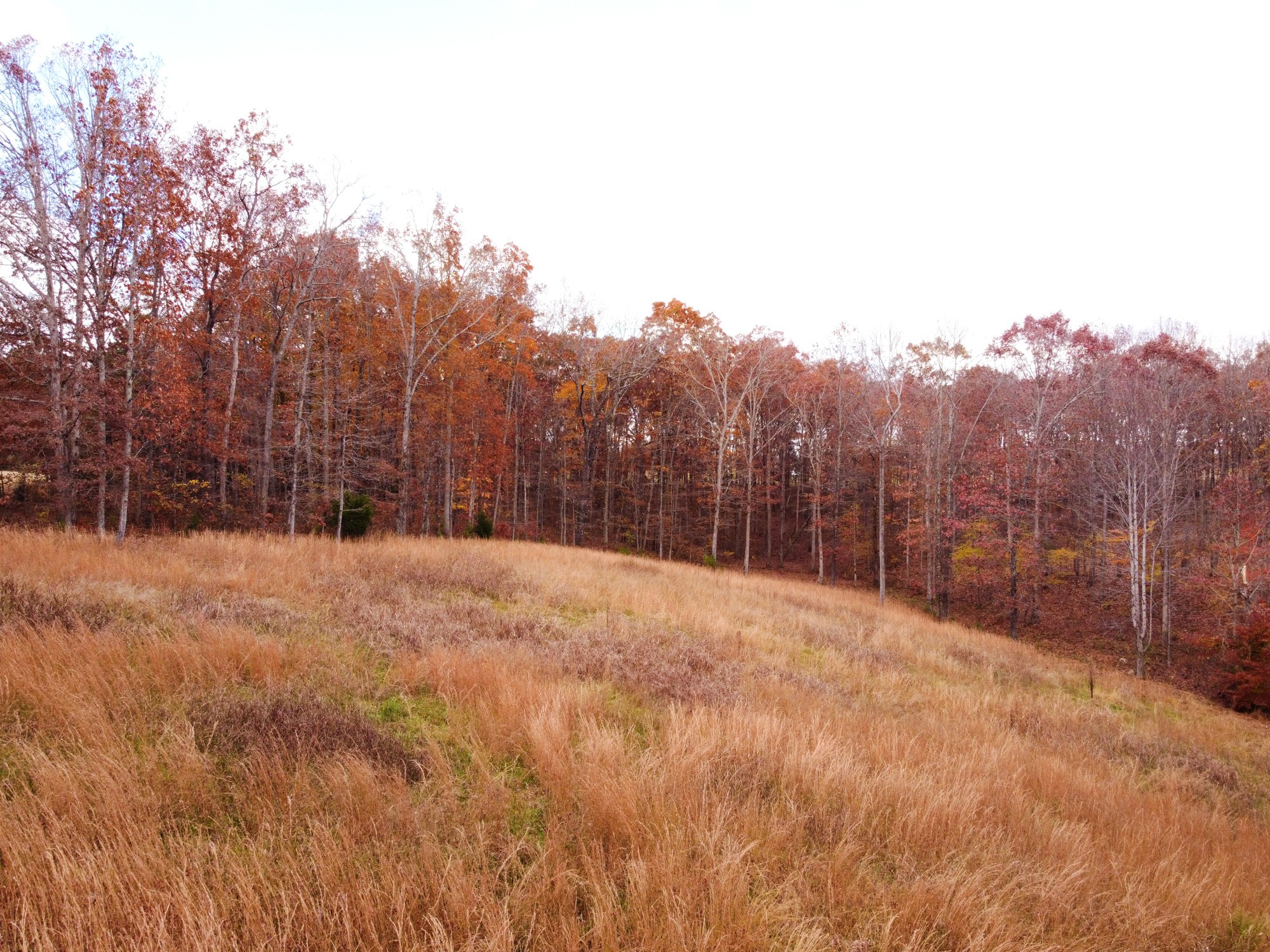 5061 Spears Road Centerville, TN 37033 - Photo 17 of 55