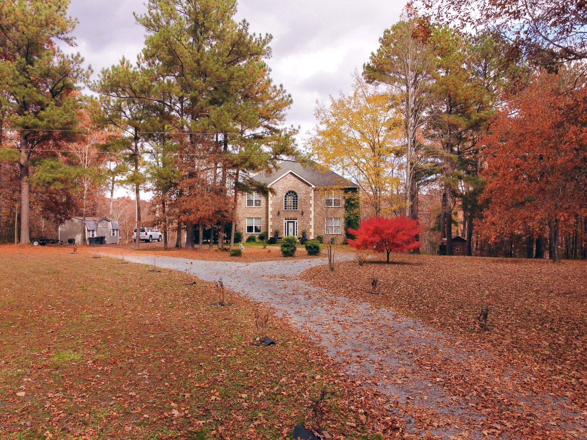 5061 Spears Road Centerville, TN 37033 - Photo 3 of 55 a row of palm trees in front of the house