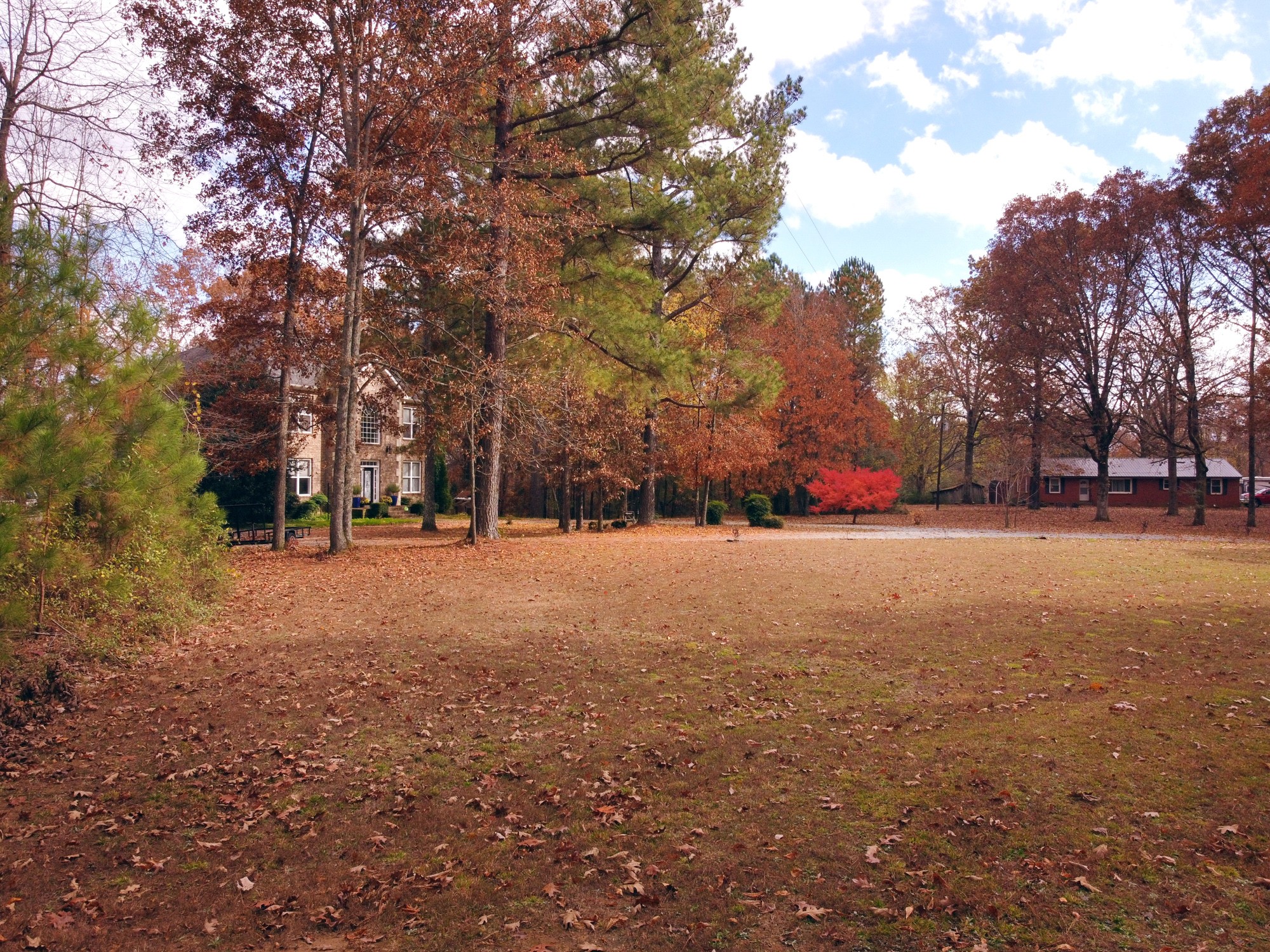 5061 Spears Road Centerville, TN 37033 - Photo 6 of 55 a view of outdoor space with trees