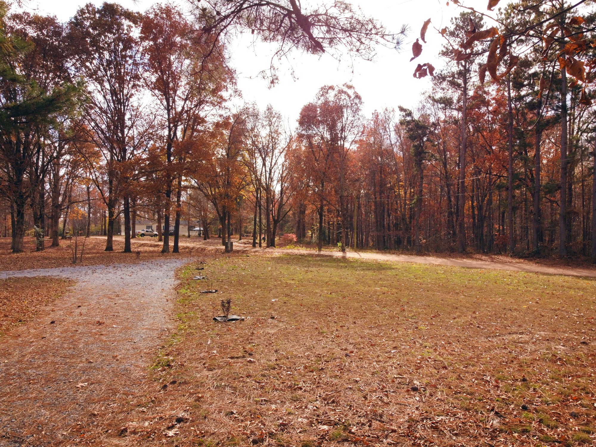 5061 Spears Road Centerville, TN 37033 - Photo 8 of 55 a view of outdoor space with lots of trees