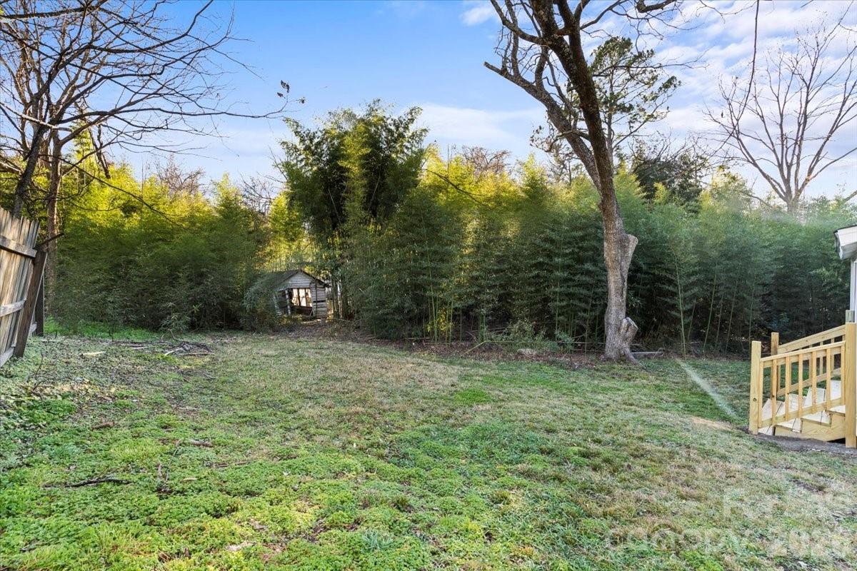 165 East Lacy Street Chester, SC 29706 - Photo 16 of 16 a view of outdoor space and garden