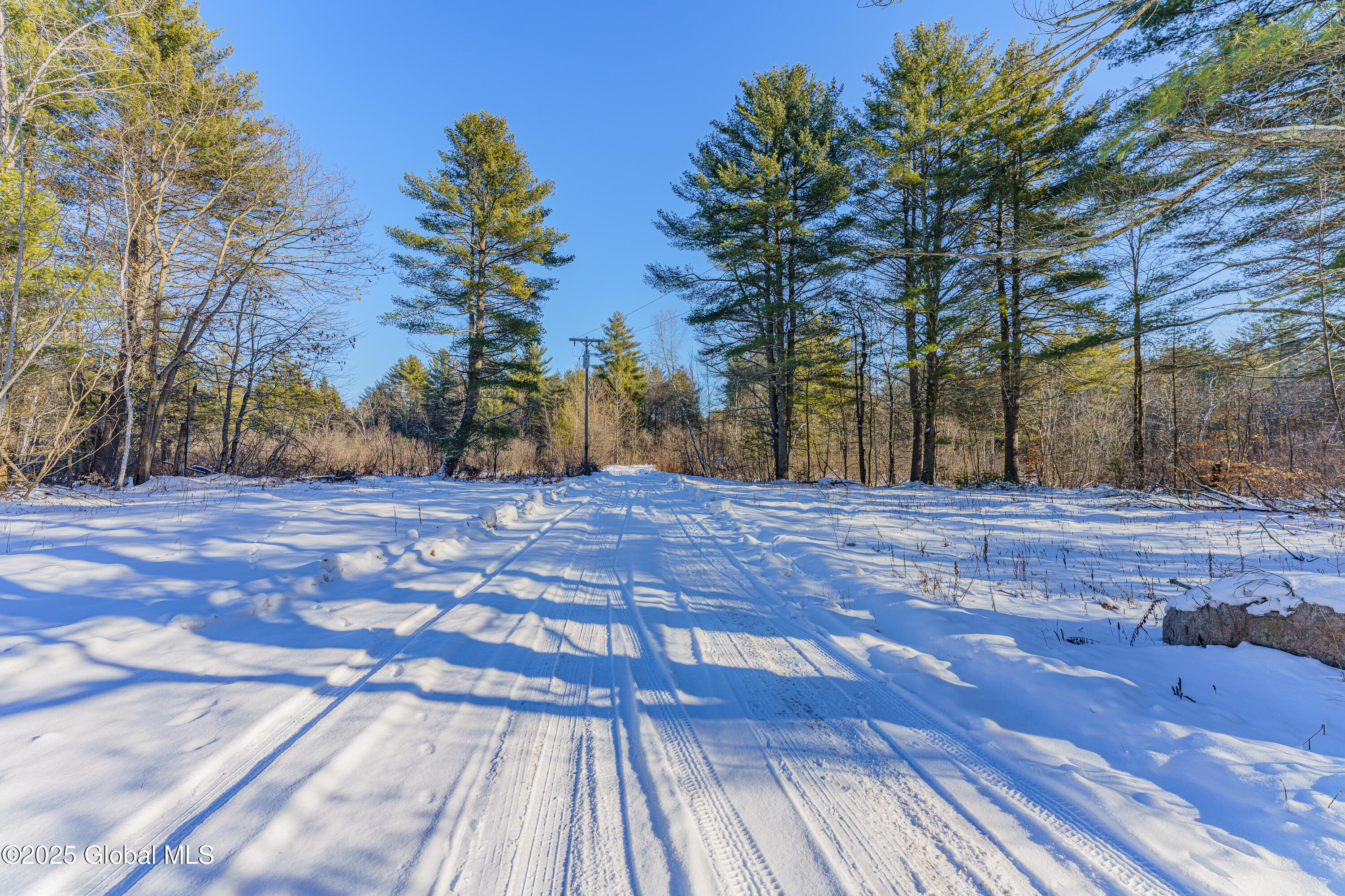 165 Howe Road Greenfield Center, NY 12833 - Photo 25 of 34 1 Ground photos 1