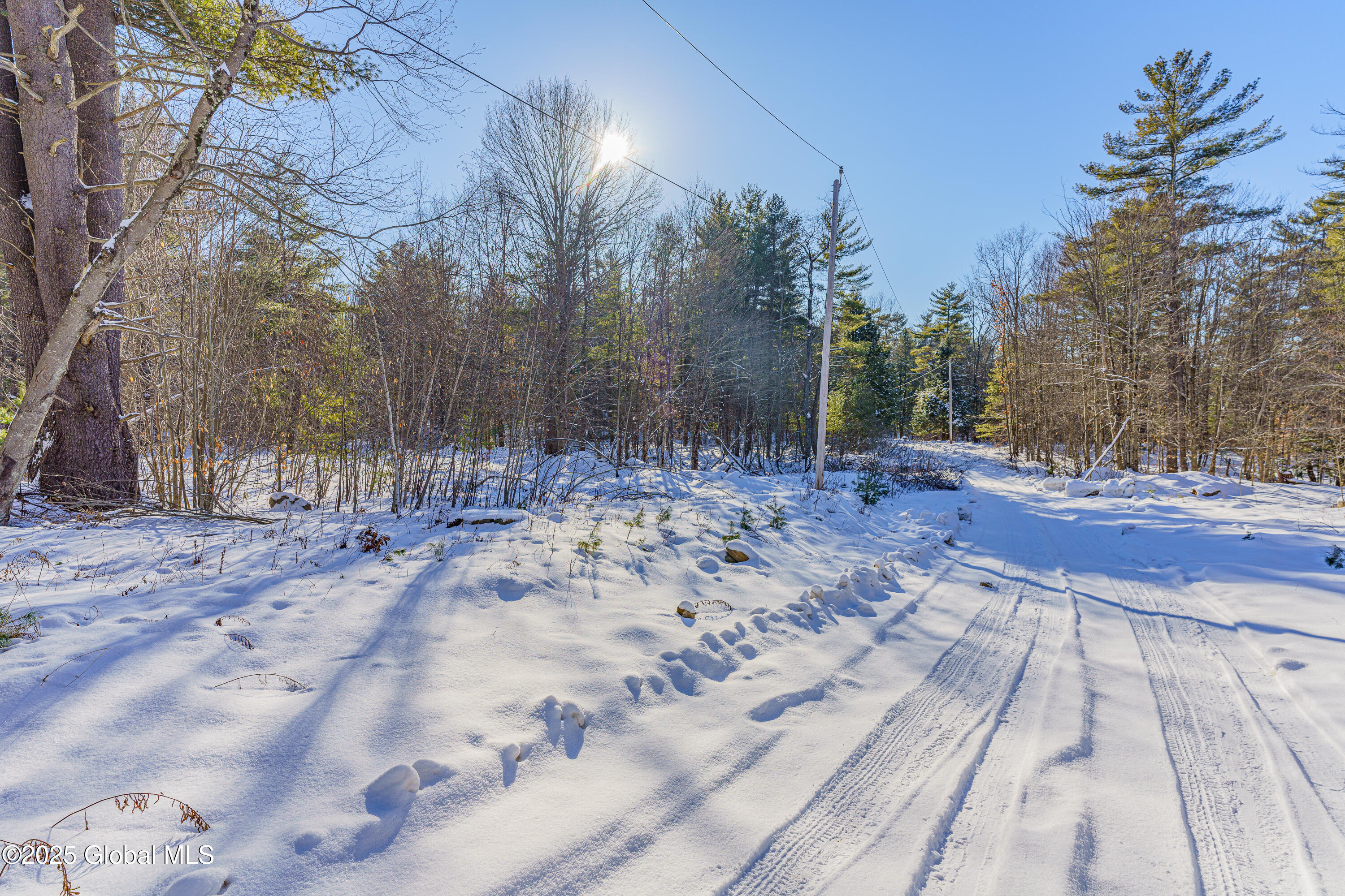 165 Howe Road Greenfield Center, NY 12833 - Photo 27 of 34 1 Ground photos 4