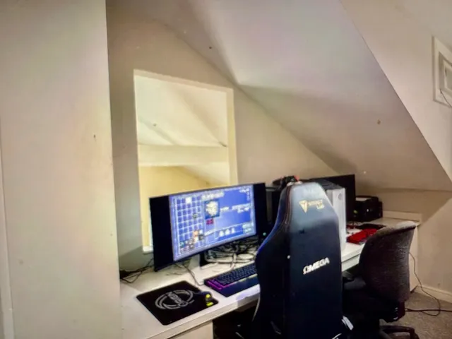 a kitchen with a sink and potted plant