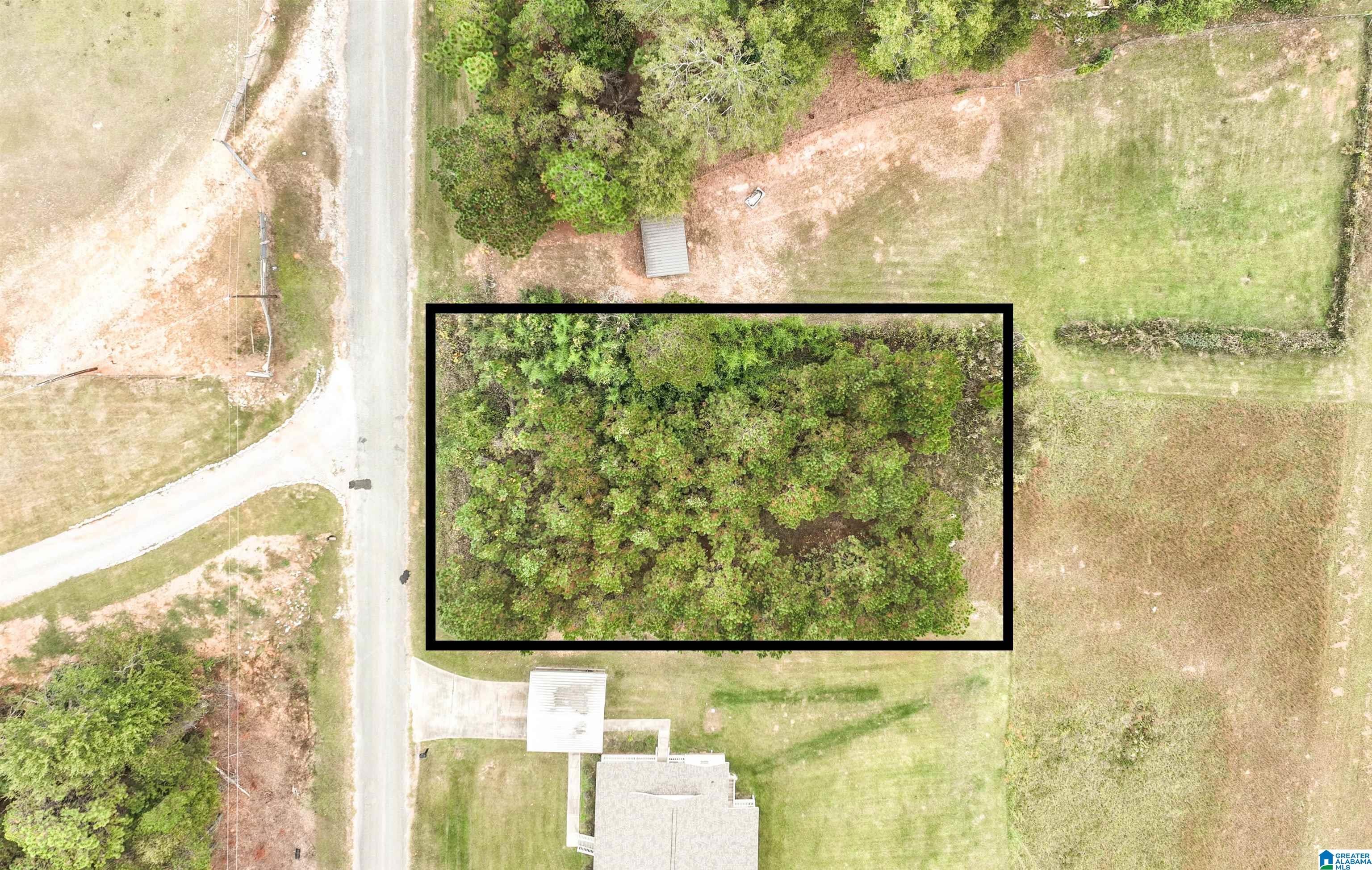 0 Old West Road, Unit LOT 4 Thorsby, AL 35171 - Photo 1 of 4