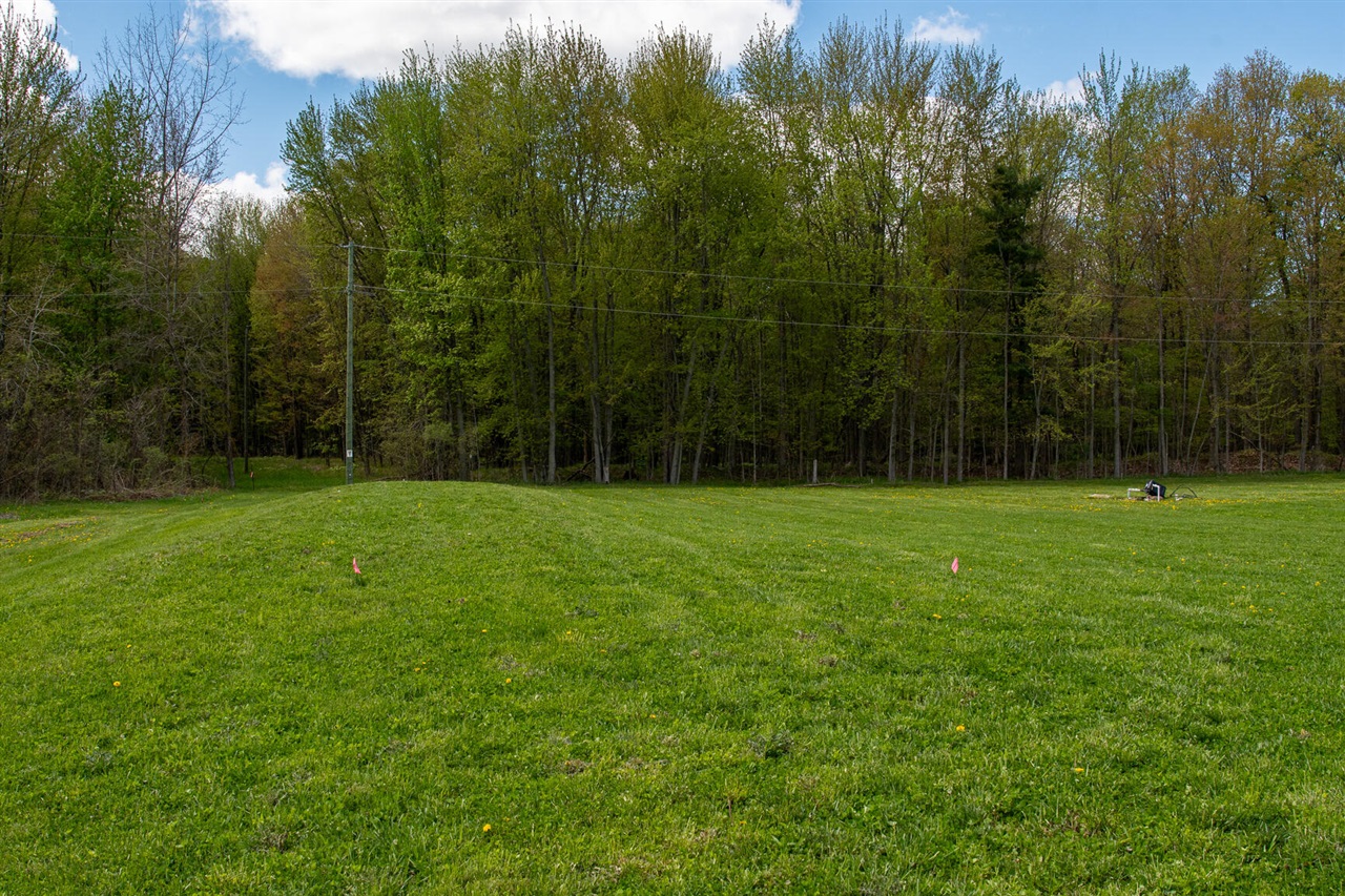 1885 Shaw Road Bailey, MI 49303 - Photo 42 of 42