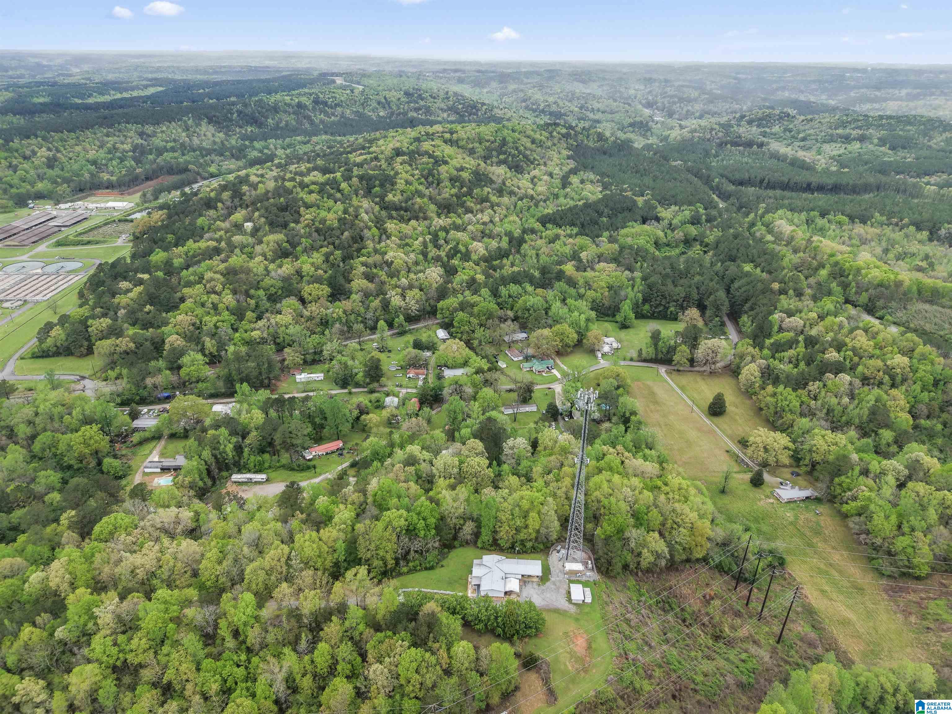 901 Lower Coalburg Road Fultondale, AL 35068 - Photo 7 of 38