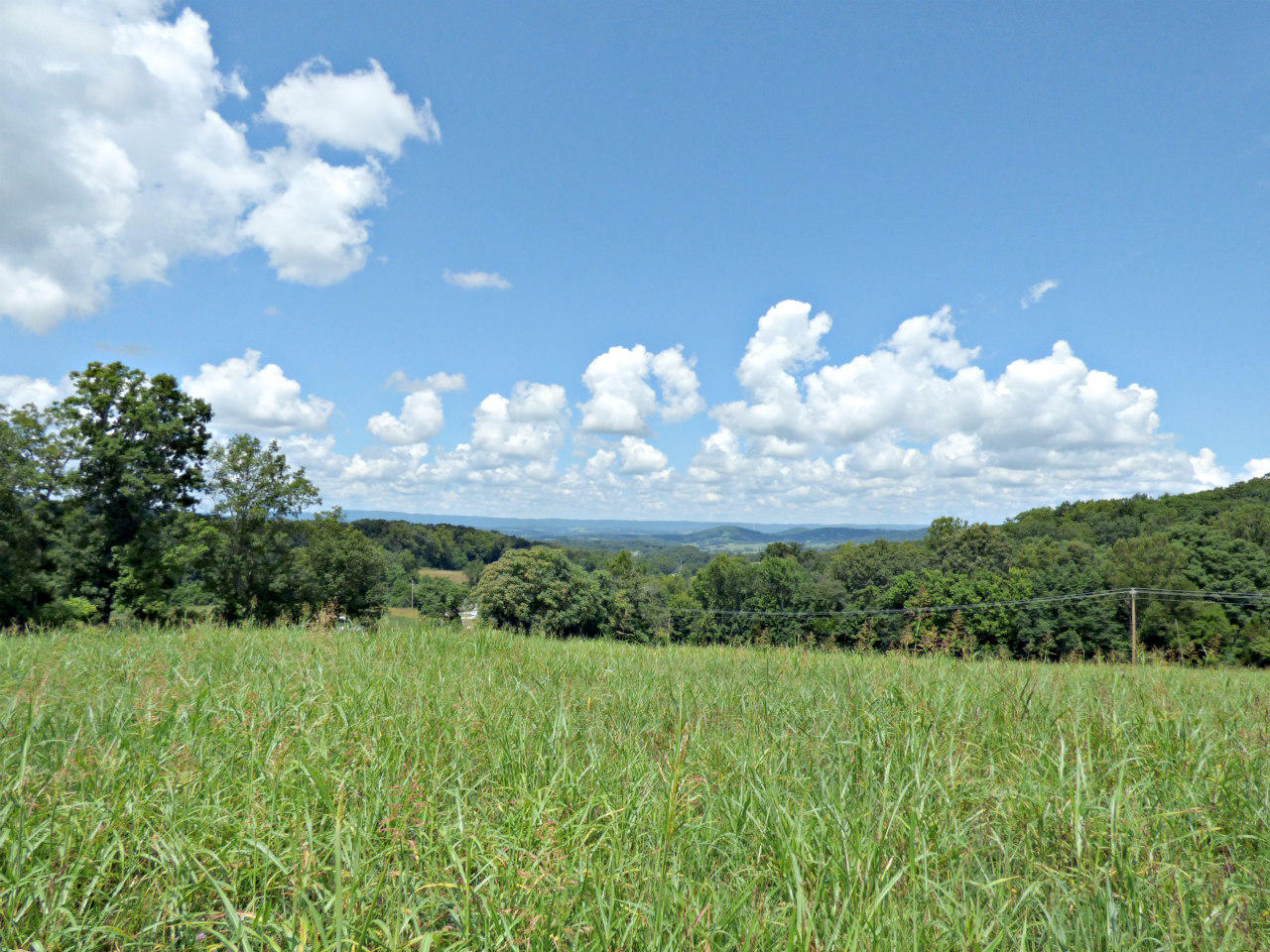 Lot 10 Collins Road New Market, TN 37820 - Photo 1 of 8 P1130563