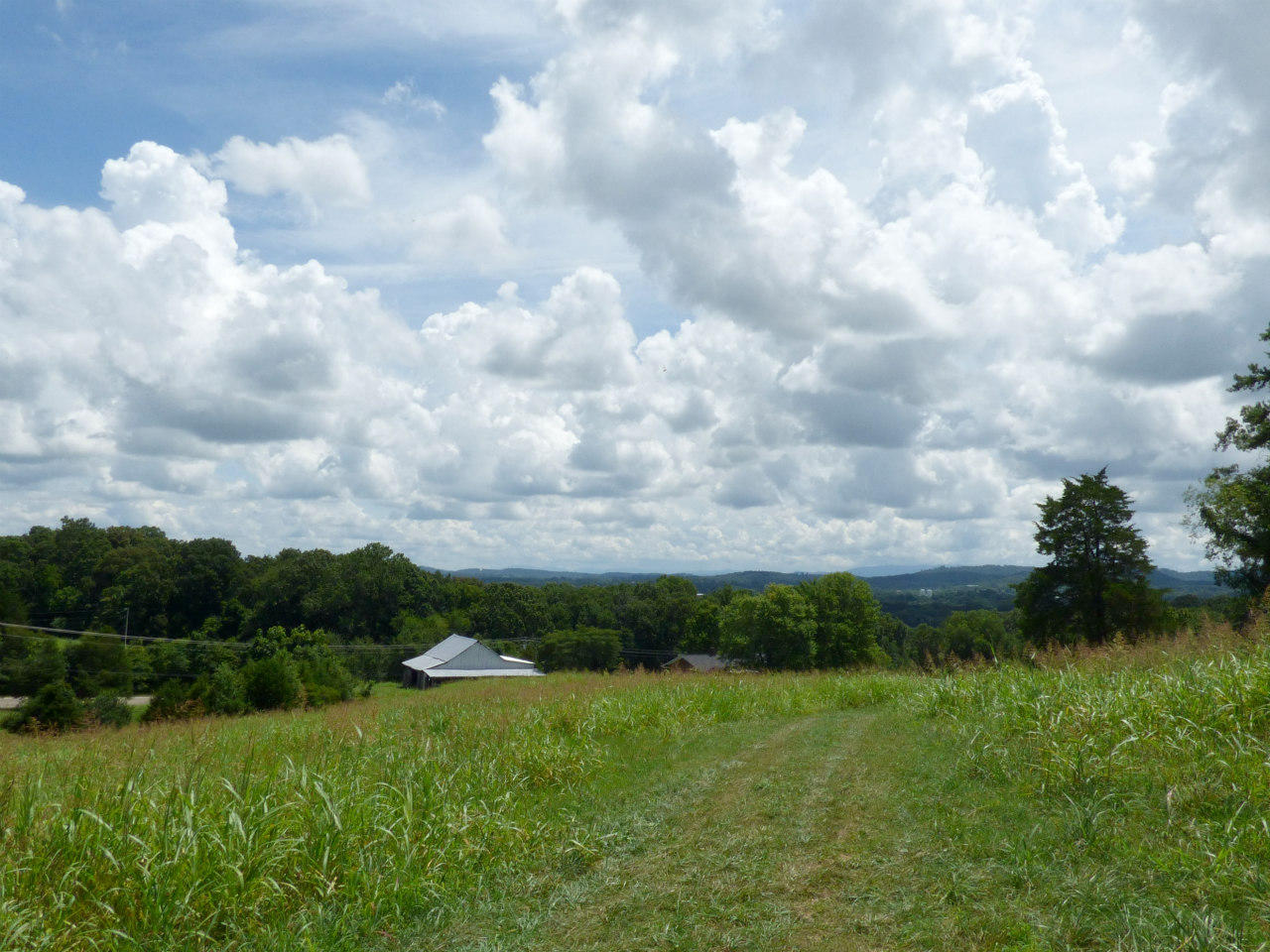 Lot 10 Collins Road New Market, TN 37820 - Photo 3 of 8 P1130565