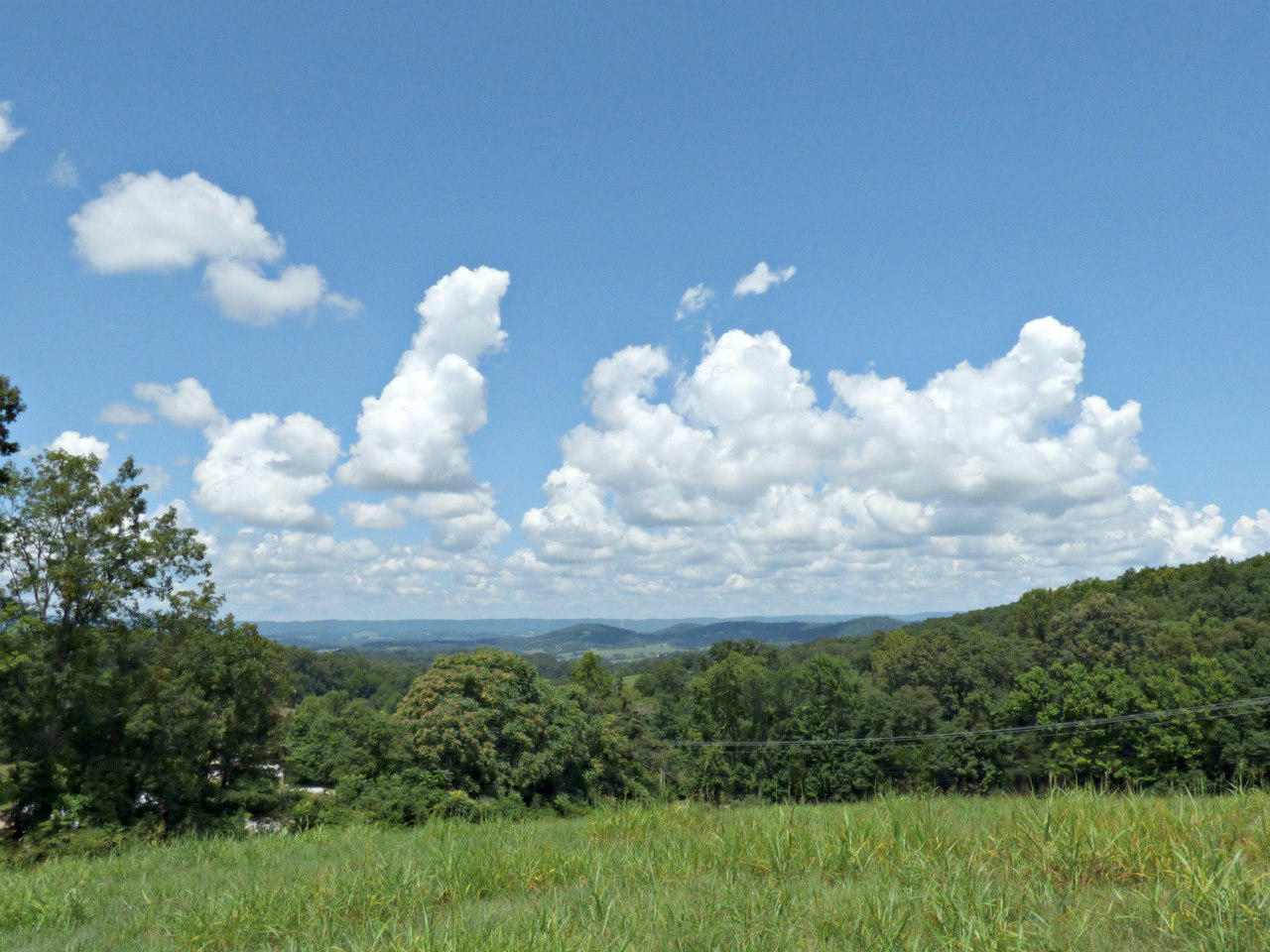 Lot 10 Collins Road New Market, TN 37820 - Photo 4 of 8 P1130566