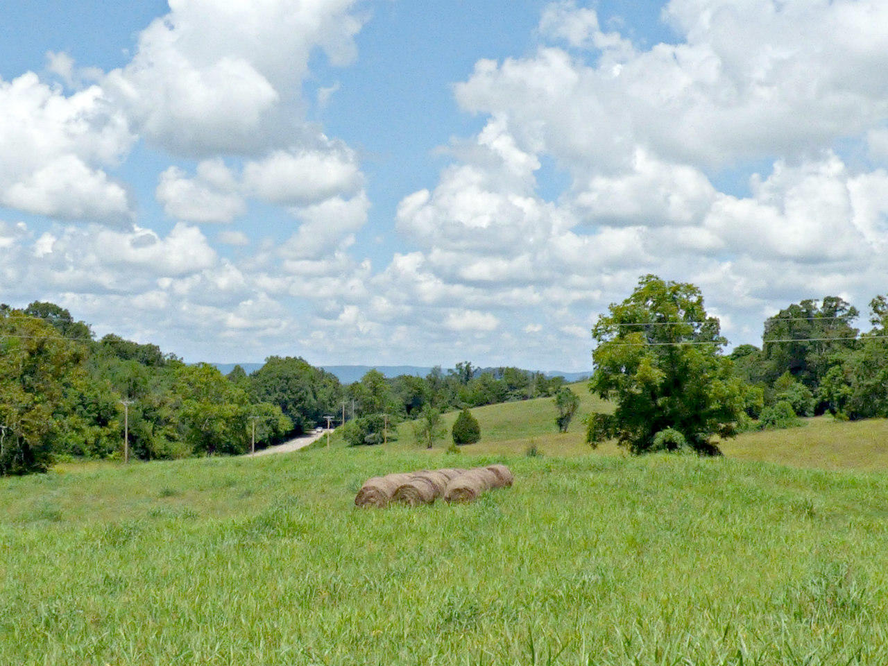 Lot 10 Collins Road New Market, TN 37820 - Photo 6 of 8 P1130568