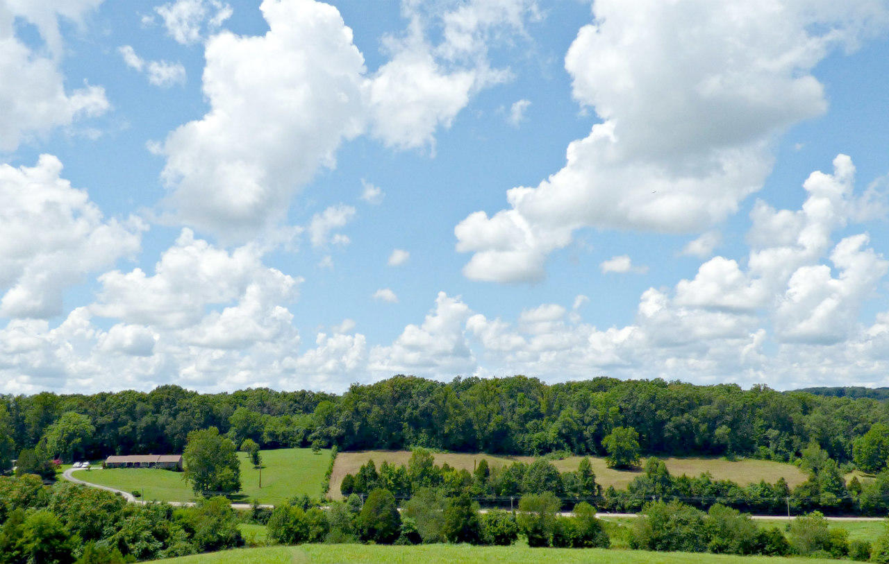Lot 10 Collins Road New Market, TN 37820 - Photo 8 of 8 P1130570