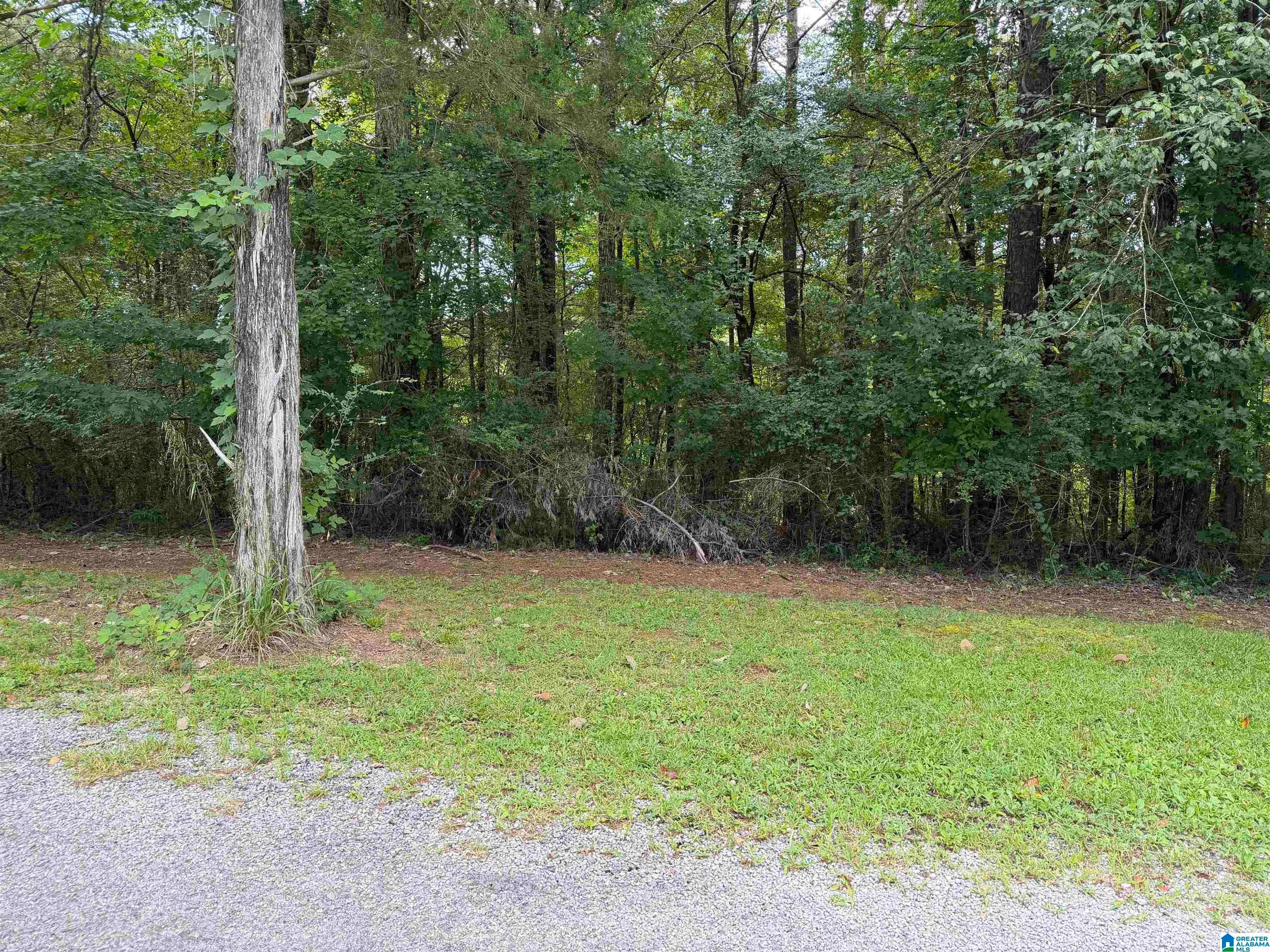 307 Green Road Oneonta, AL 35121 - Photo 5 of 19 Gallery Image 5