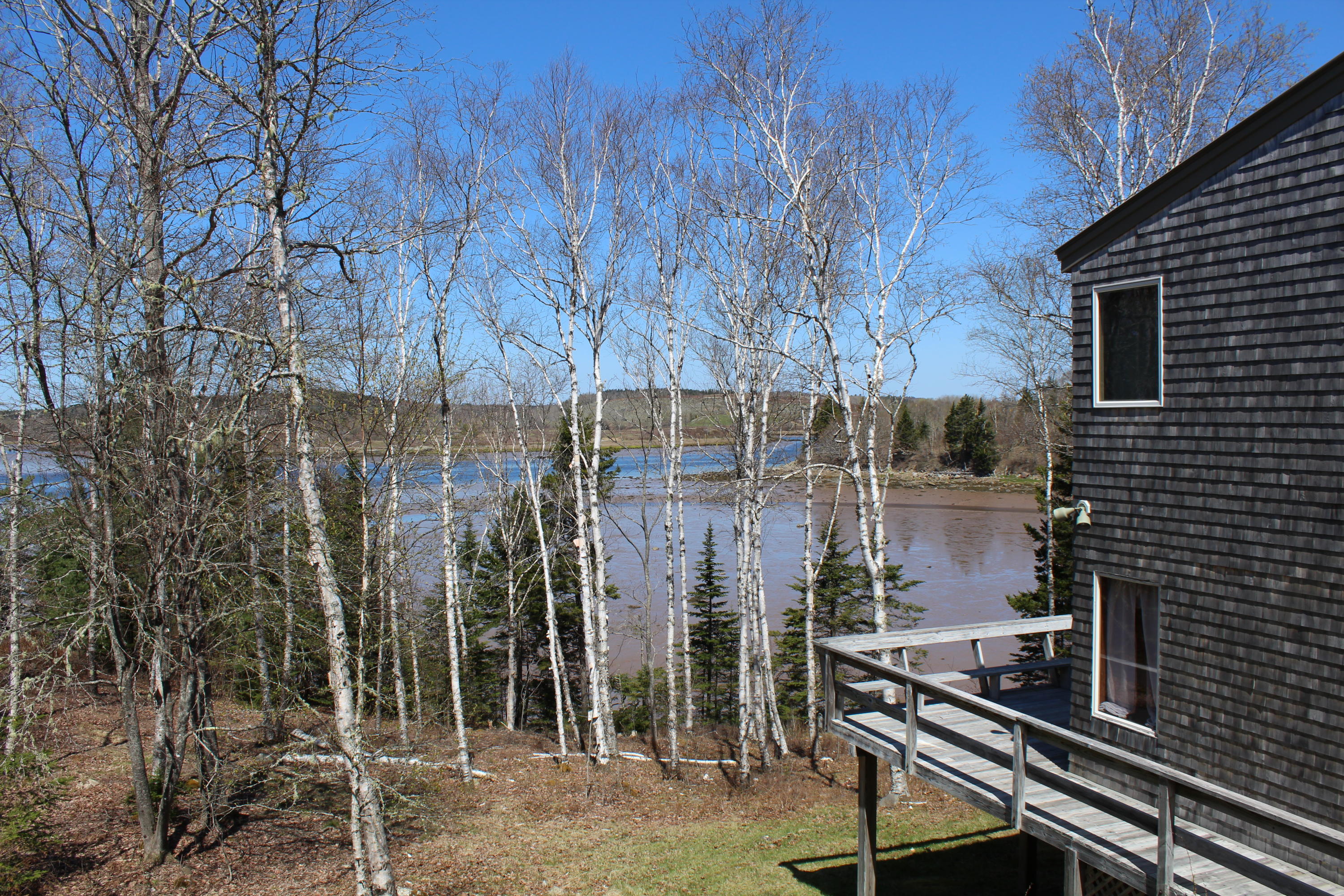 73 East Side Road Machiasport, ME 04655 - Photo 3 of 34 IMG_2233