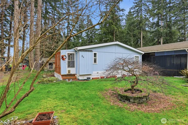 a view of a backyard with plants and large tree