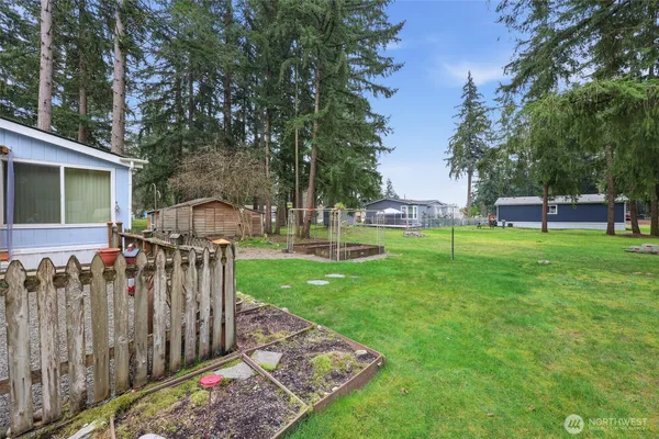 a view of a house with backyard and a tree