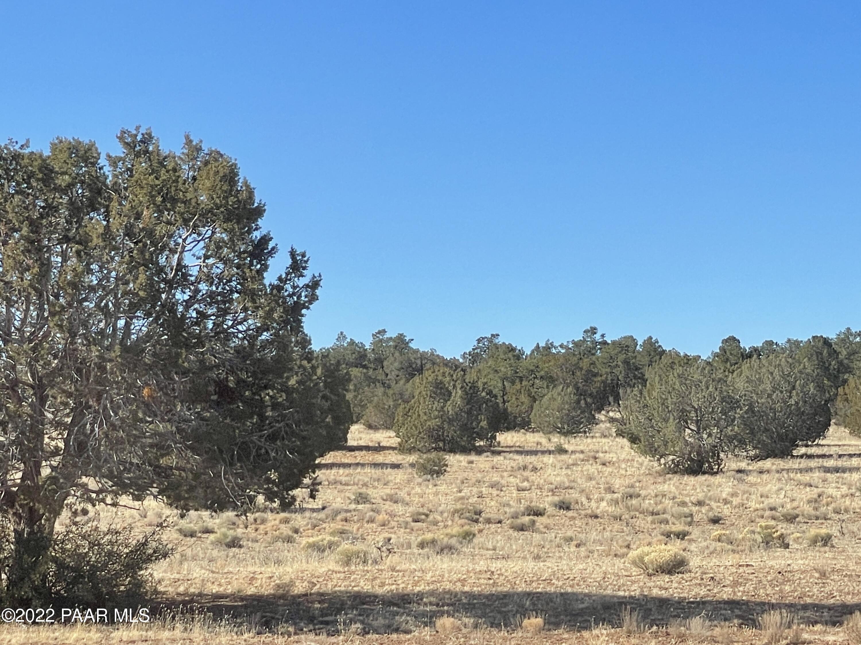 D Stewart Road Seligman, AZ 86337 - Photo 1 of 16 a view of a dry yard with a tree