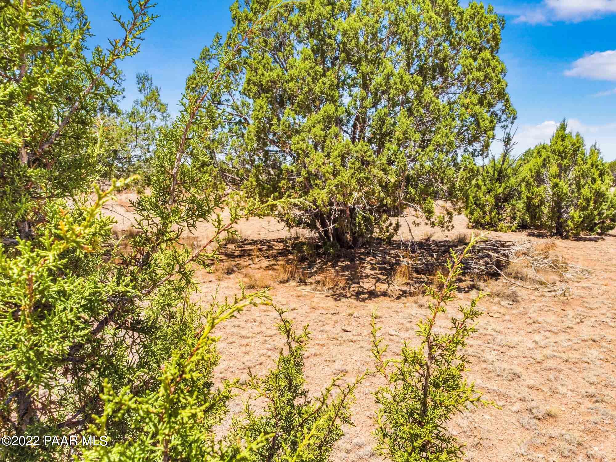 D Stewart Road Seligman, AZ 86337 - Photo 14 of 16