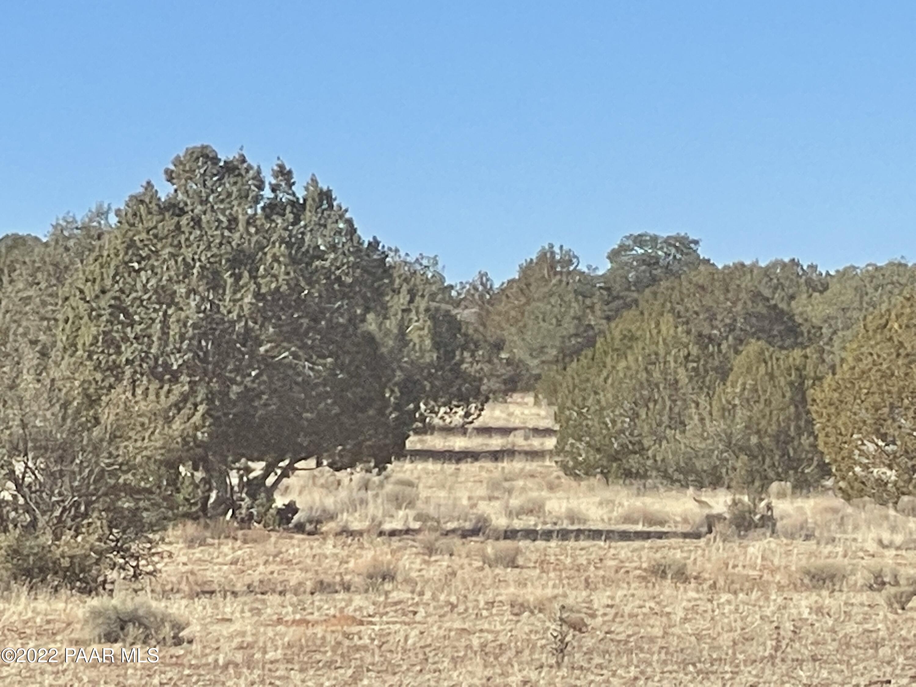 D Stewart Road Seligman, AZ 86337 - Photo 2 of 16 a view of a yard