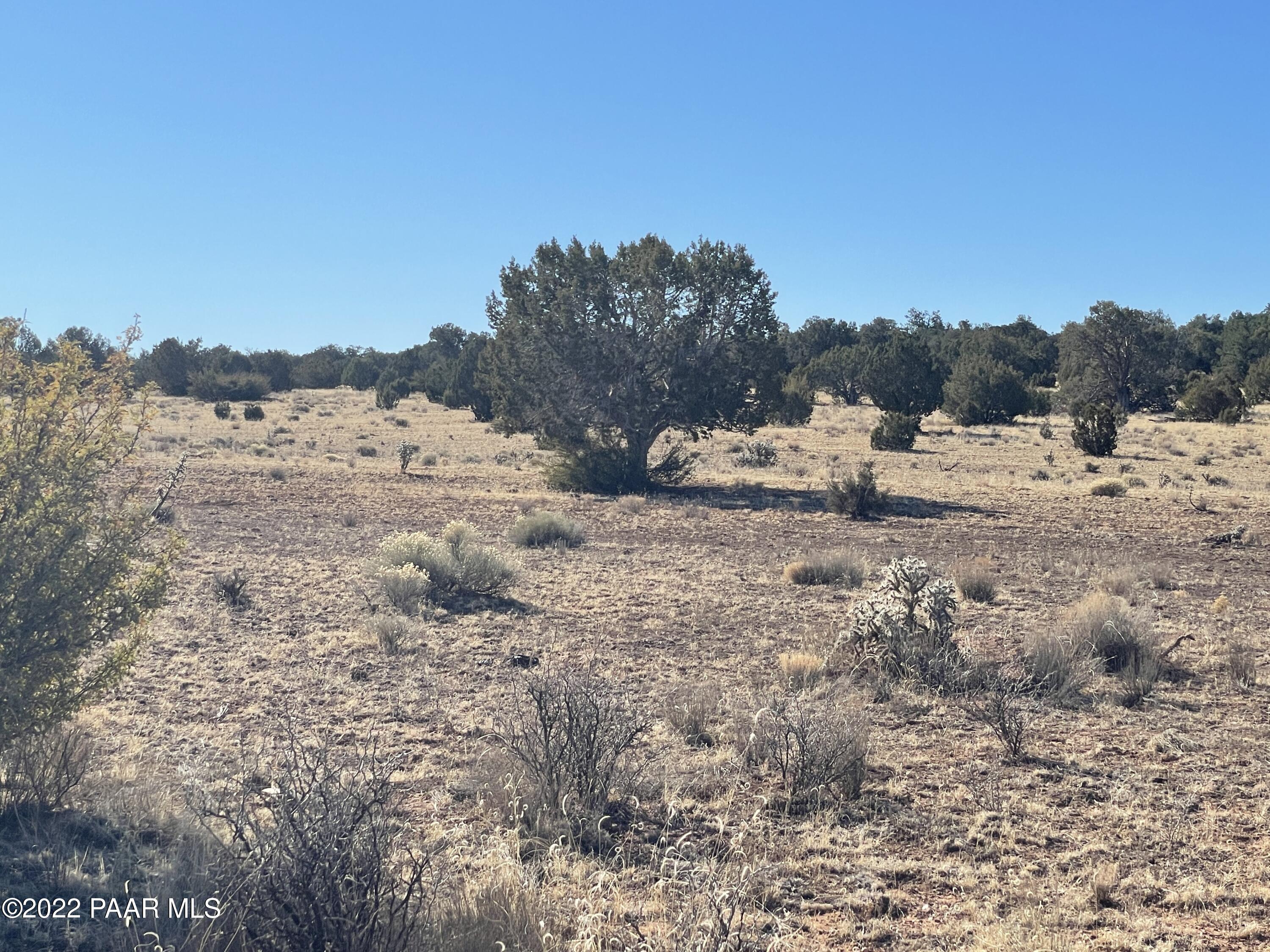 D Stewart Road Seligman, AZ 86337 - Photo 3 of 16 a view of a dry yard with a mountain