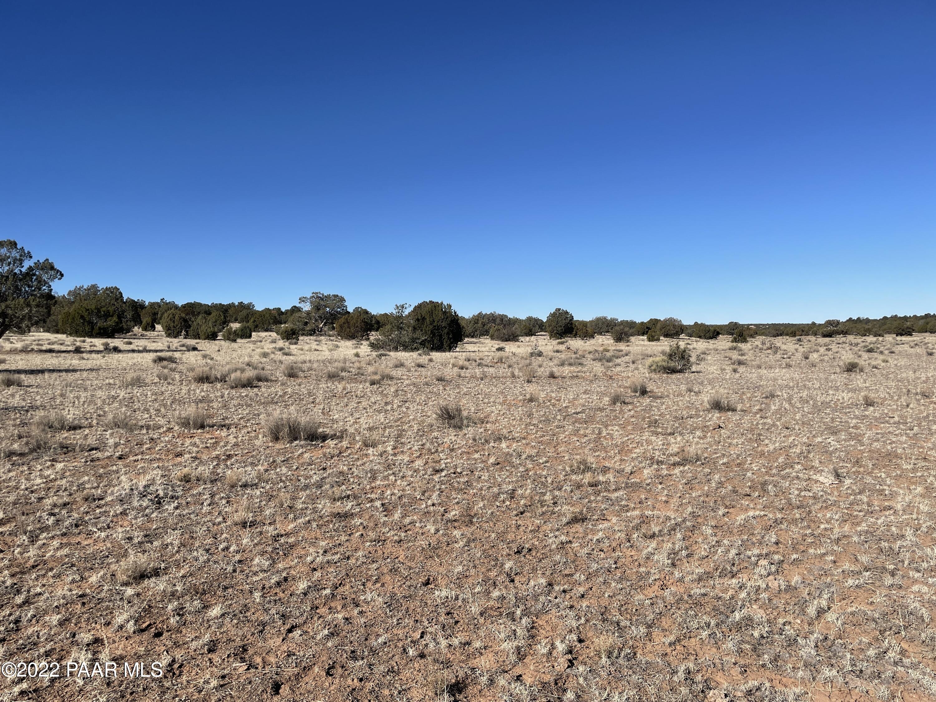 D Stewart Road Seligman, AZ 86337 - Photo 4 of 16 a view of mountain view with wooden floor