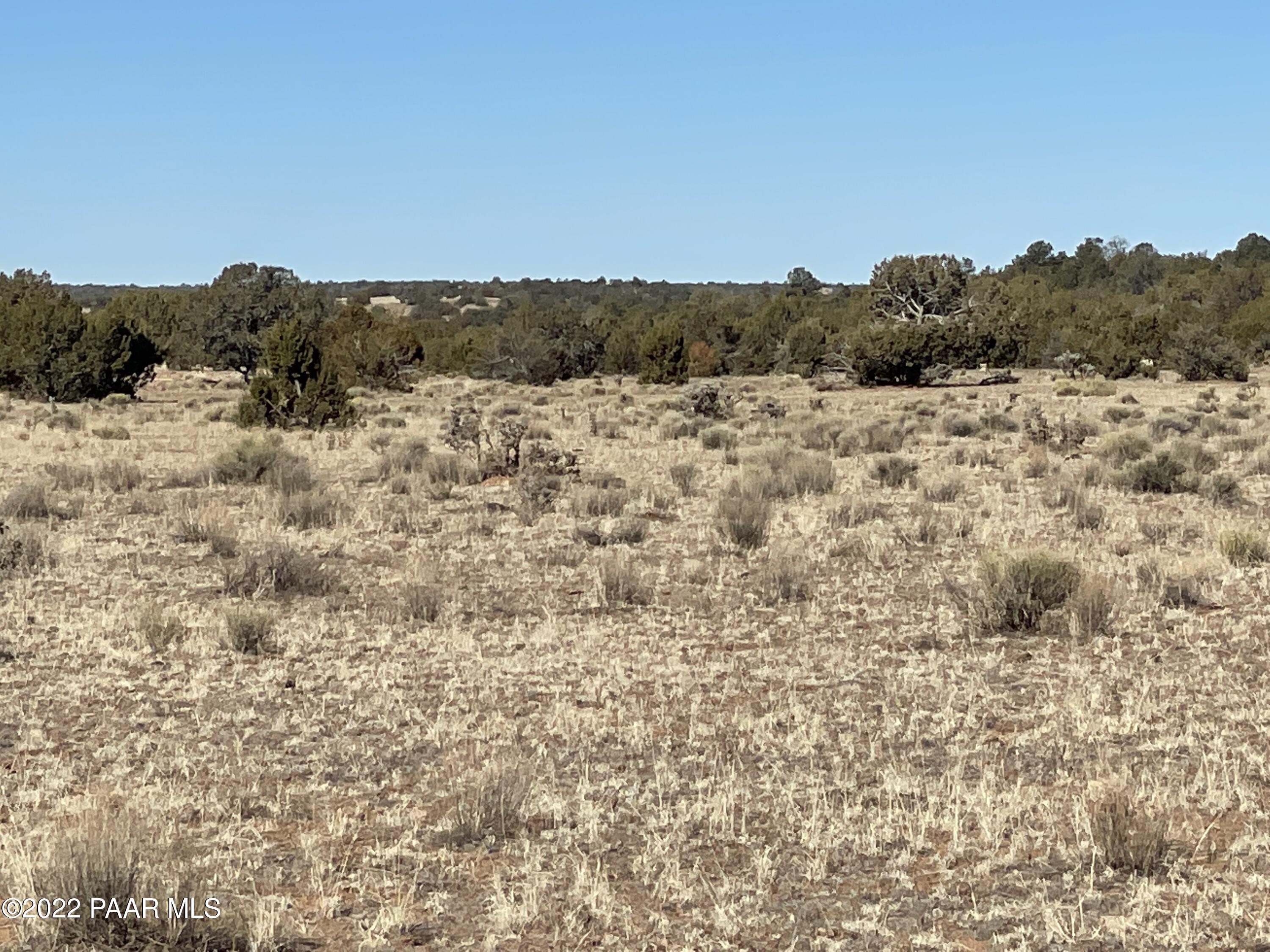 D Stewart Road Seligman, AZ 86337 - Photo 6 of 16 a view of mountain view