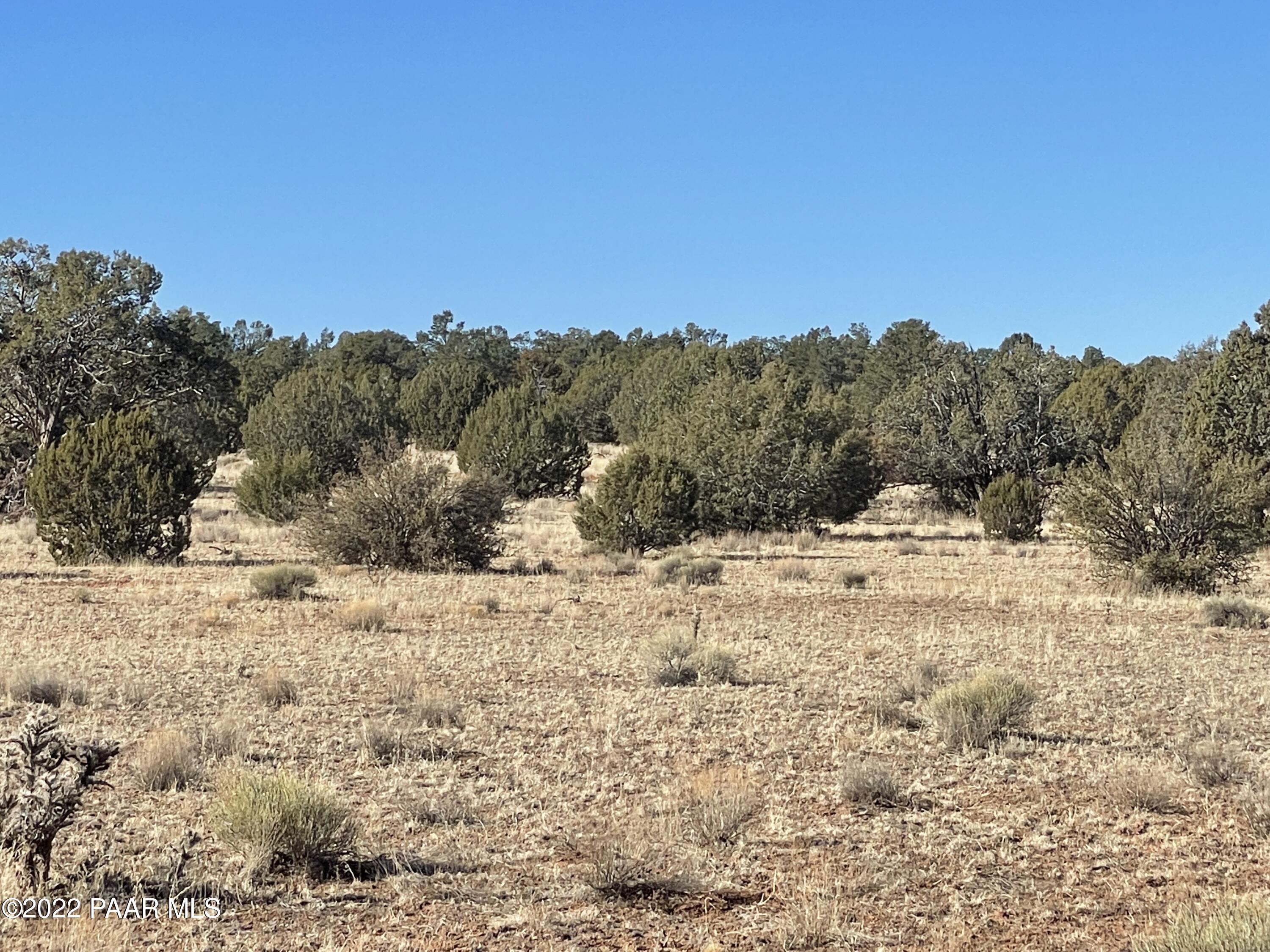 D Stewart Road Seligman, AZ 86337 - Photo 8 of 16 a view of a dry yard with a tree