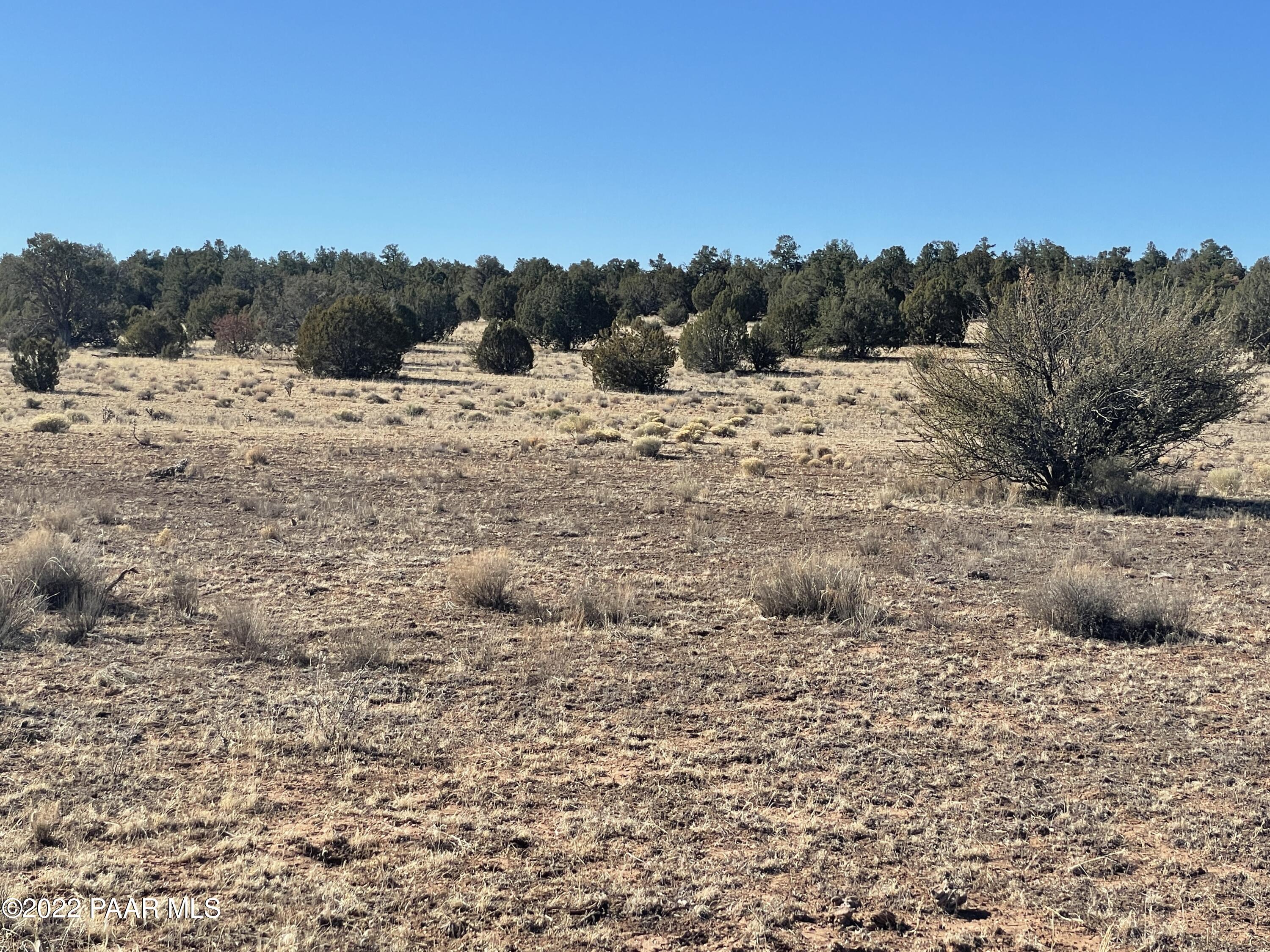 D Stewart Road Seligman, AZ 86337 - Photo 9 of 16 a view of a dry yard covered with snow