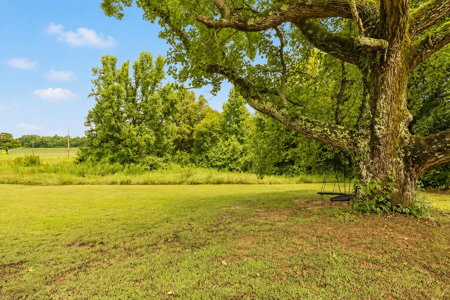 10093 Mt Carmel Road Brighton, TN 38011 - Photo 10 of 36 Expansive green lawn with a mature, gnarled tree providing ample shade