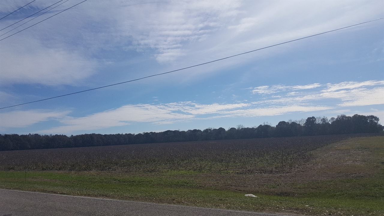 36 East County Road Summerdale, AL 36580 - Photo 3 of 7